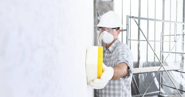 Environmental Consulting for Mold Prevention in Mitchell, IL